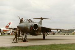 Buccaneer-14