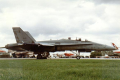 Canadian-Hornet.-Static.