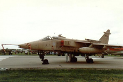 Gulf-Jag-static