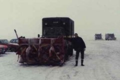 snow-and-ice2