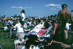 Crowds