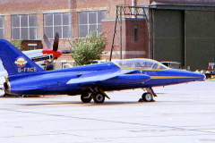 Gnat