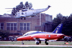Hawk-and-Seaking