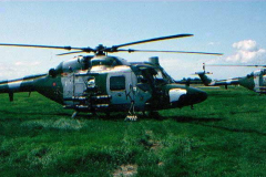 Lynx