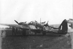 blenheim-1987-display
