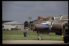 23.-Buccaneer-nose01