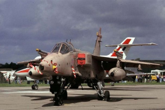 3.-Jaguar-stat04-2