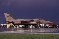 59.-Jaguar-stat04