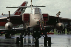 65.-Jaguar03