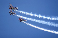 CF-83-002b