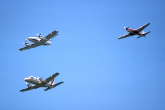 CF-83-005