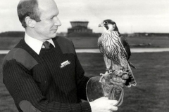 Bird-control