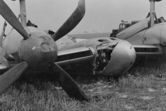 Hornet-flipped-at-end-of-runway.